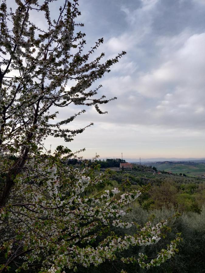 Il Rusticano Chianni Eksteriør billede